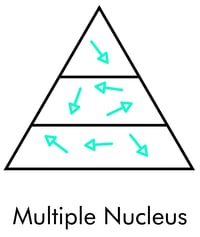 multiple-nucleus